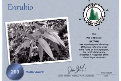 POTA Enrubio  Hunter - 200 