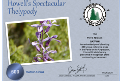 SA7PGN_POTA_Howells_Spectacular_Thelypody_Hunter_1