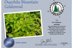 POTA_Ouachita_Mountain_Goldenrod_Hunter