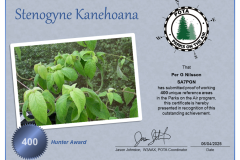 POTA Stenogyne Kanehoana